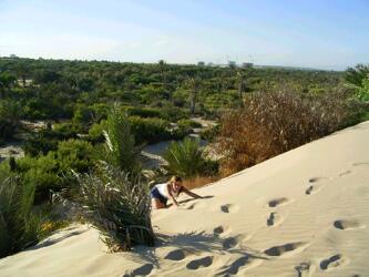 HOTEL DUNAS GUARDAMAR hotel dunas guardamar: