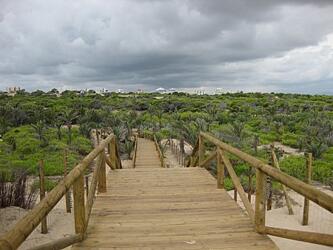 HOTEL DUNAS GUARDAMAR hotel dunas guardamar: