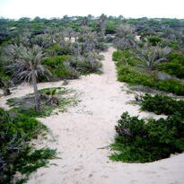HOTEL DUNAS GUARDAMAR hotel dunas guardamar:
