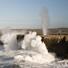 Bufones en Arenillas