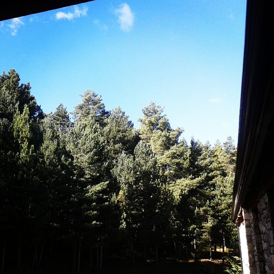 vistas desde habitación