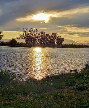 Foto del entorno de L&amp;#039;Hotelet del Delta