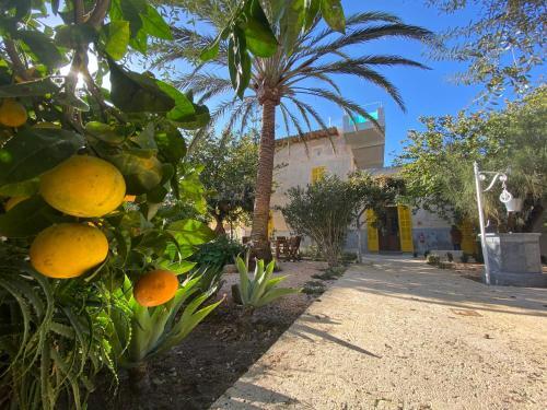 Foto de los servicios de Hotel Boutique Can Pocovi