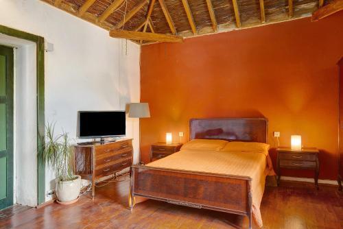 Foto de una habitación de Casas y chalets Vv Rural Finca Ecocielo