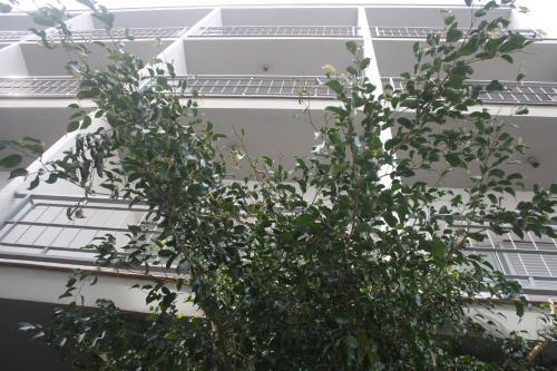 Foto del exterior de Hostal Torre Mar