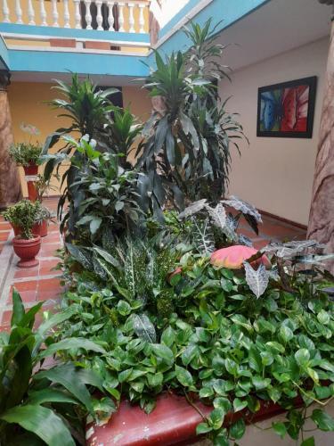 Foto de una habitación de Hotel Colonial Inn