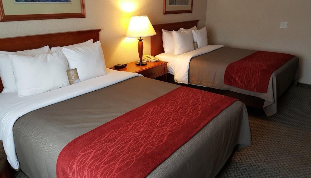 Foto general de Hotel Comfort &amp;amp; Conference Centre