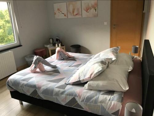 Foto de una habitación de Bed-and-Breakfast Ferme de la Petite Fagne
