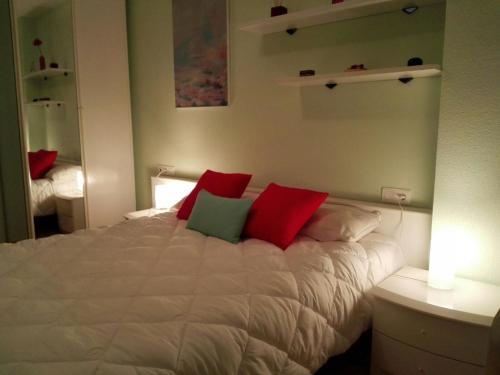 Foto general de Apartamentos Valle de Tena - Biescas