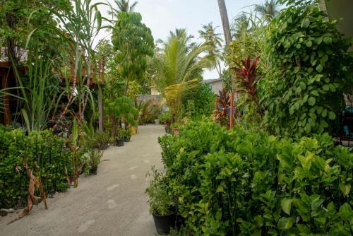 Foto de los servicios de Sunset Beach View