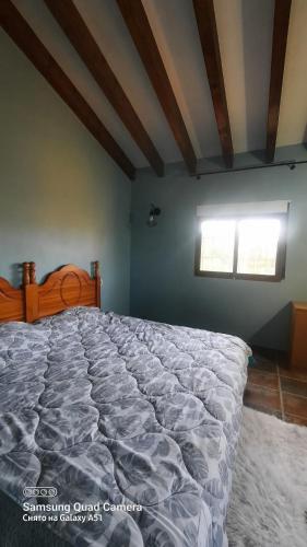 Foto general de A room in a private Villa Torrellano