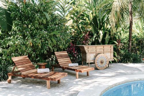 Foto de los servicios de Bed-and-Breakfast Star Mountain Jungle Lodge