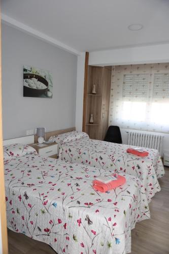 Foto general de Aparthotel Alojamiento Camiño Real