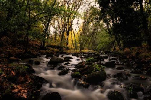 Foto del entorno de Hostel El Lago, Caceres