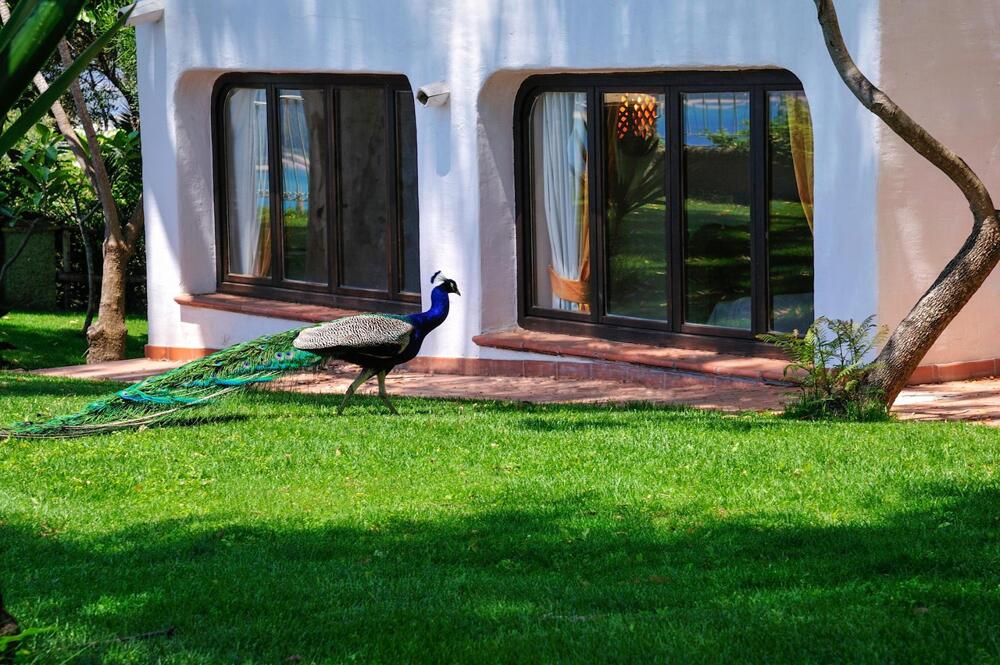Exterior – Hotel Arbatax Park Resort - Ville del Parco