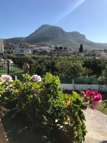 Foto de los servicios de Apartamentos Jo Marinis Rooms