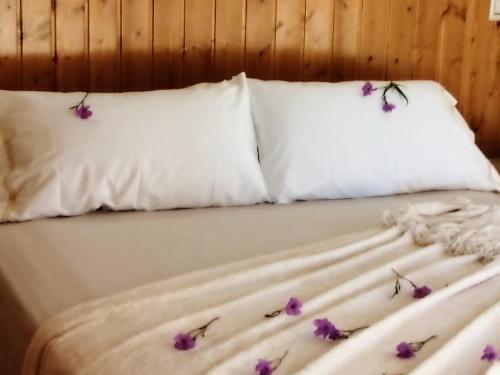 Foto de una habitación de Casas y chalets Caseta Rovira