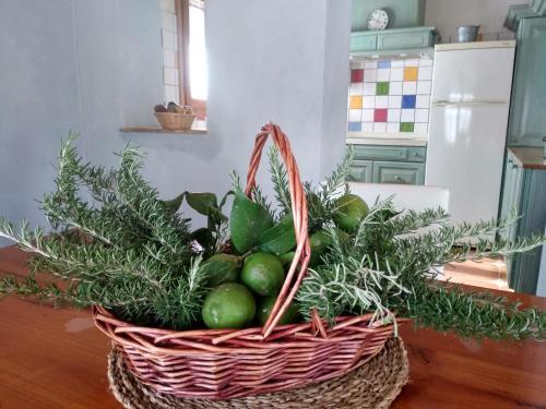 Foto de una habitación de Casas y chalets Caseta Rovira