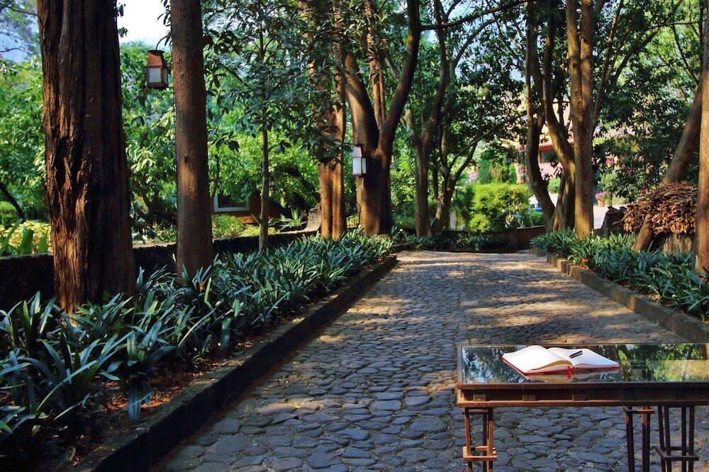 Foto de las zonas nobles de Hotel Amomoxtli
