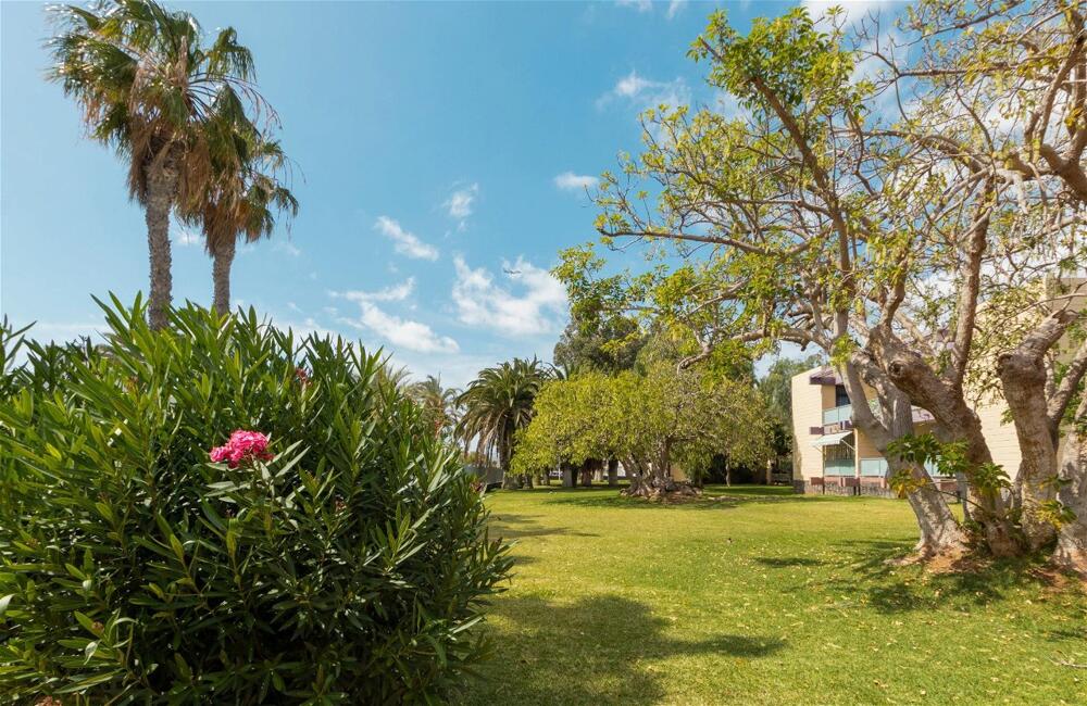 Foto general de Hotel Palia Don Pedro