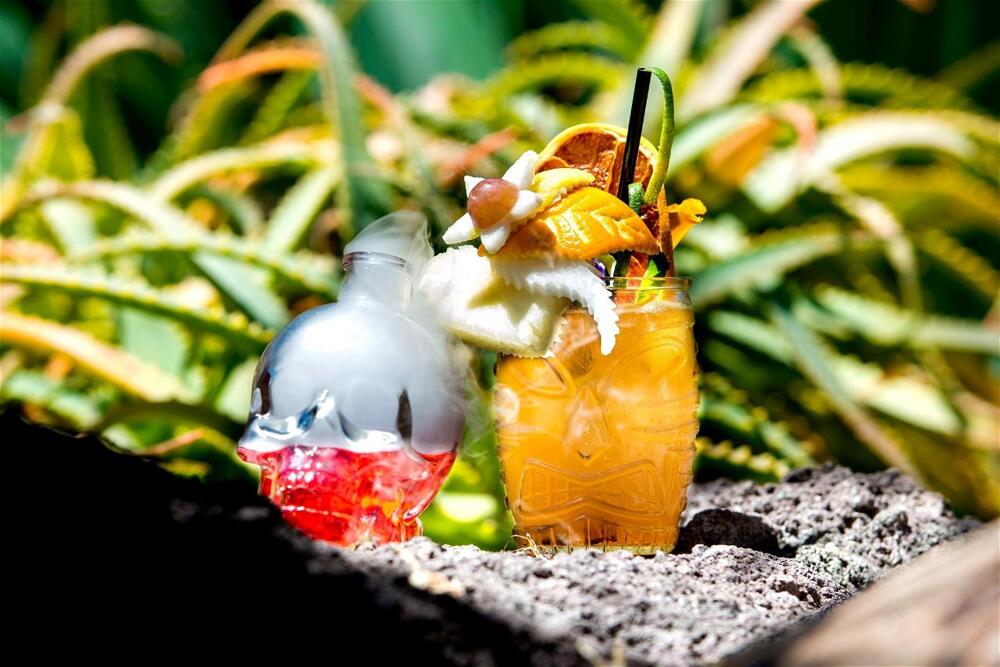 Foto general de Adrián Hoteles Jardines de Nivaria