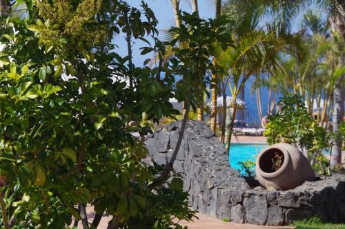 Foto de los servicios de Apartamentos Playa de Los Roques
