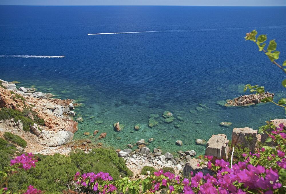 Foto del entorno de Hotel Monte Turri - Adults Only