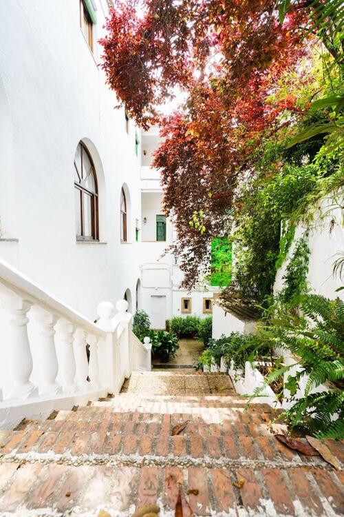 Foto de las zonas nobles de Hotel España