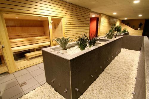 Foto de los servicios de Hotel Cerdanya EcoResort