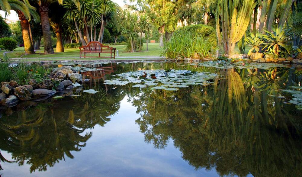 Foto del entorno de Hotel Don Carlos Resort &amp;amp; Spa