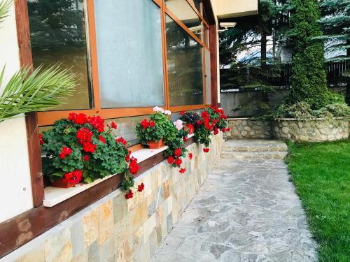 Foto de una habitación de Evelina Palace Hotel