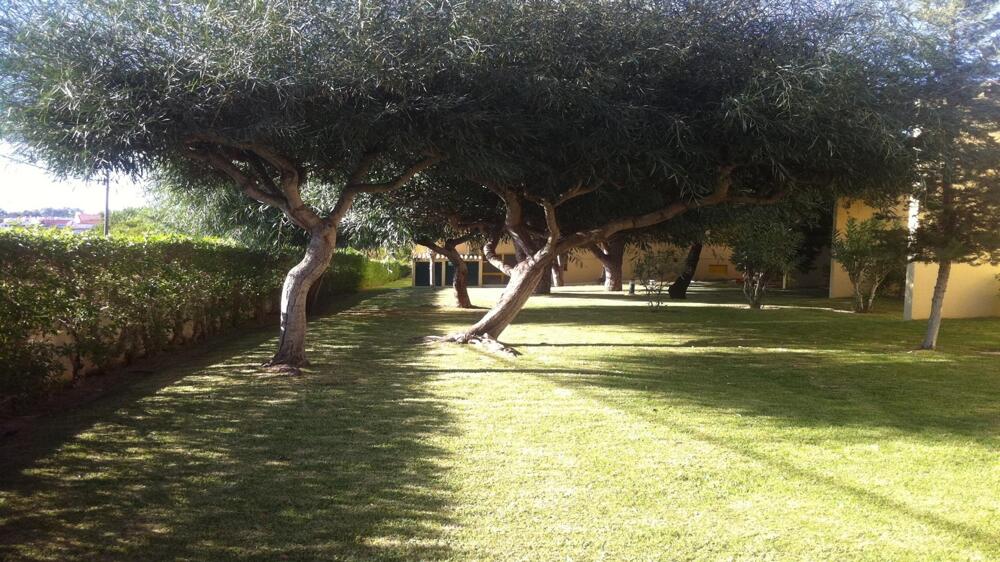Foto general de Hotel Pinhal do Sol