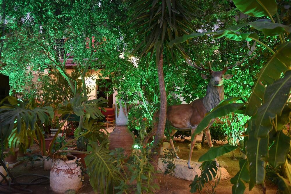 Foto general de Istankoy Hotel