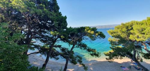 Foto del entorno de Holiday Village Sagitta - Light All Inclusive