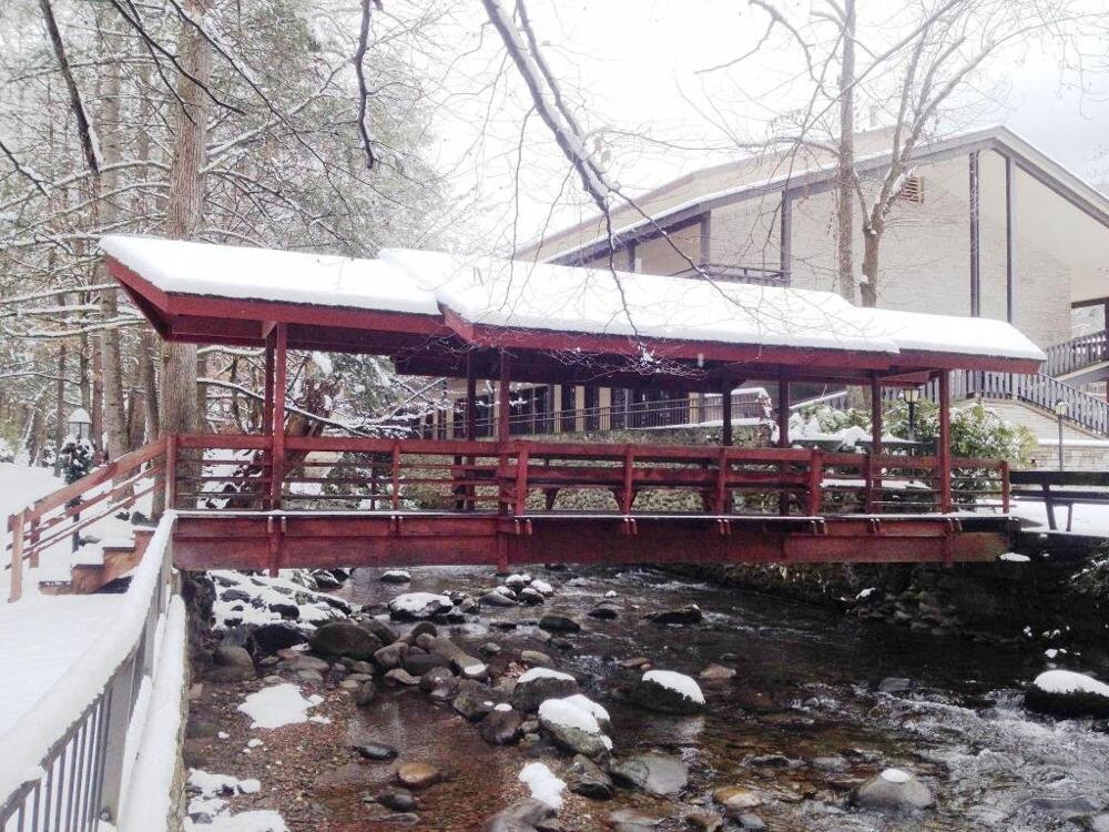 Foto general de Hotel Brookside Lodge