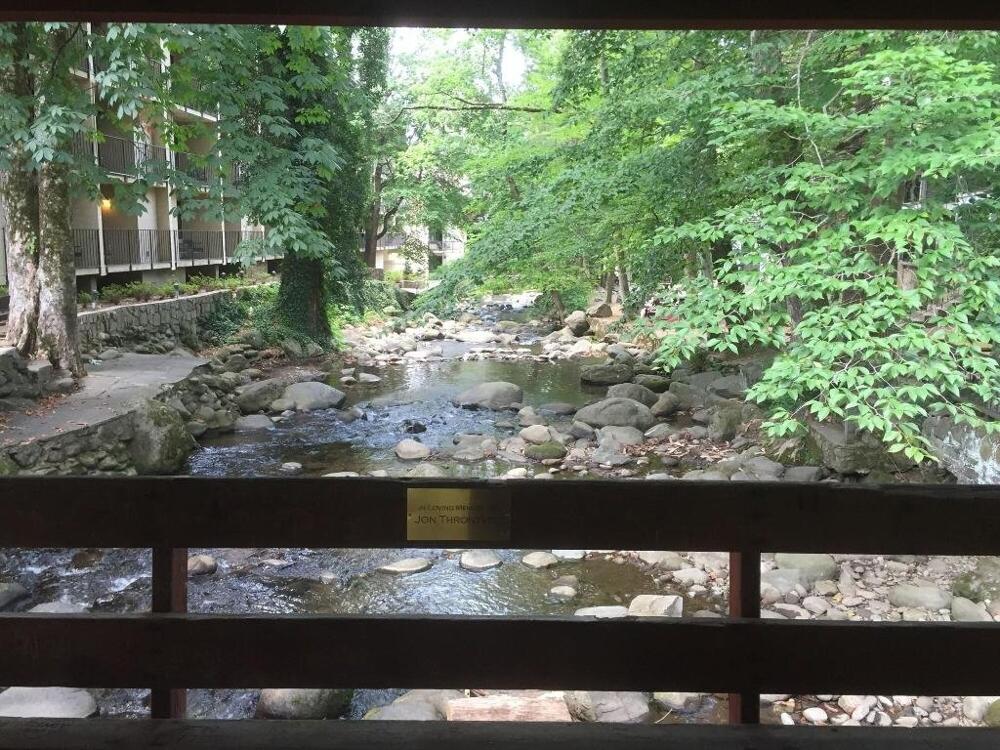Foto general de Hotel Brookside Lodge
