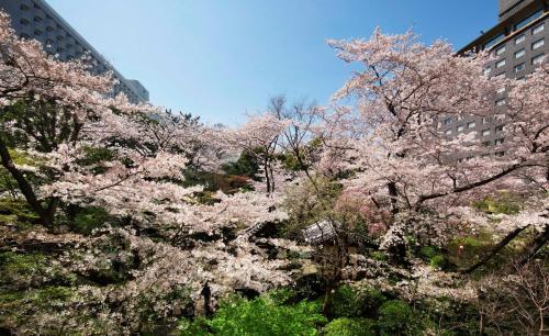 Foto del entorno de Grand Prince Hotel Takanawa