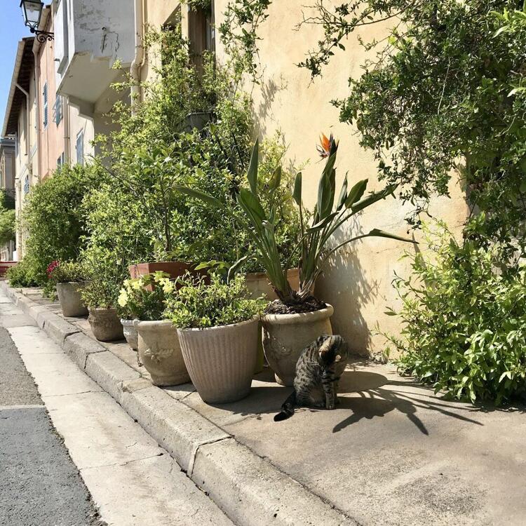 Foto general de Kyriad Martigues Ecopolis