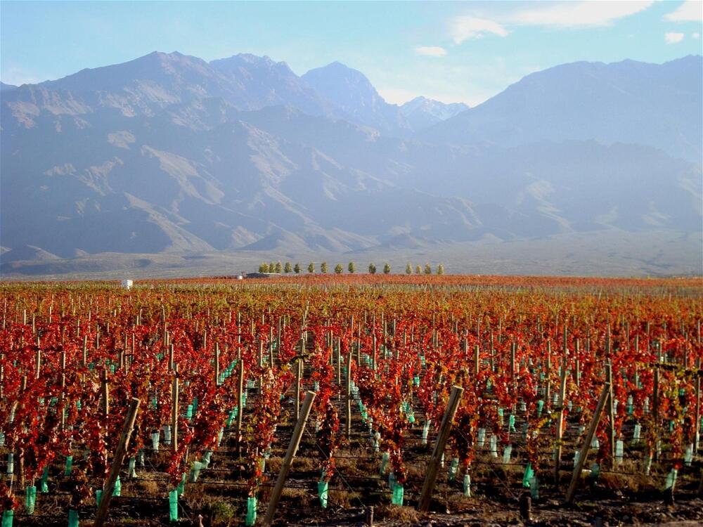 Foto general de Casa de Uco Vineyards and Wine Resort
