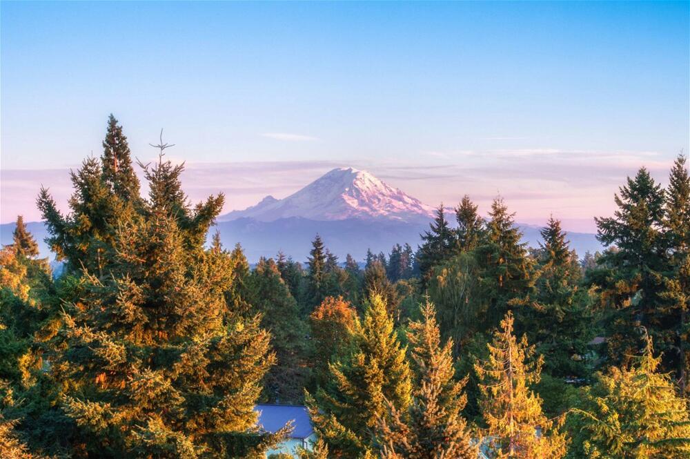 Foto del entorno de Hotel DoubleTree by Hilton Seattle Airport