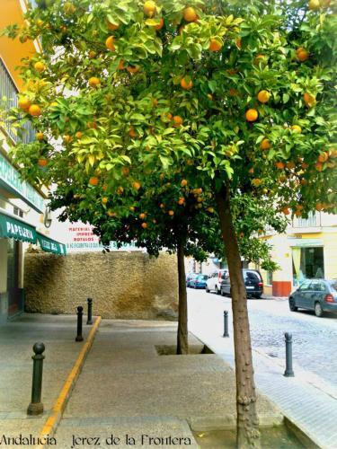 Foto del exterior de Hotel Al Andalus Jerez