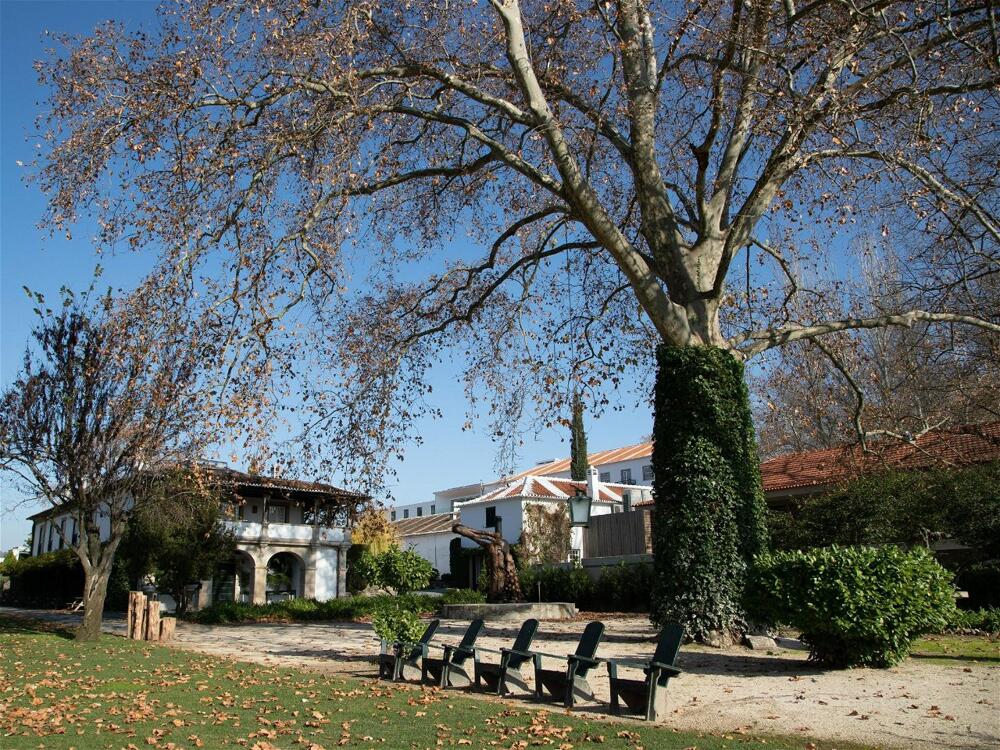 Foto general de The Wine House Hotel - Quinta da Pacheca