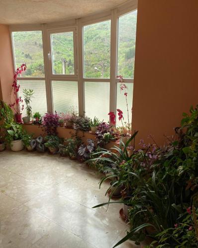 Foto general de Hostal A lastra