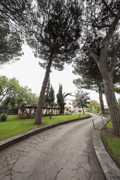 Foto del entorno de Mancini Park Hotel