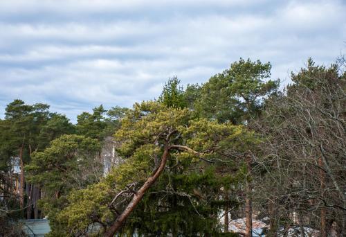 Foto del entorno de Hotel Jurmala Spa