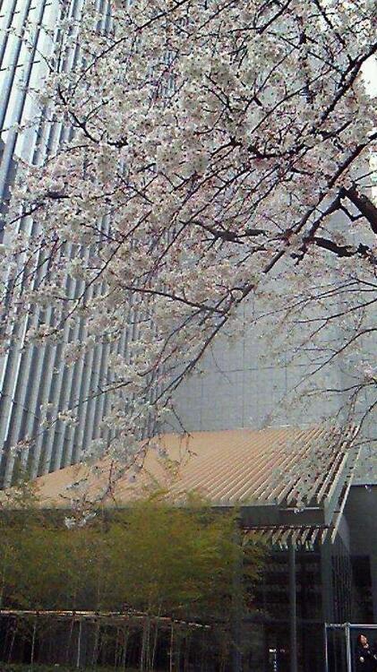 Foto del entorno de The Capitol Hotel Tokyu