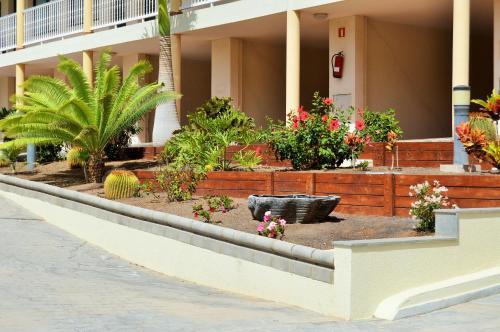 Foto de los servicios de Apartamentos Natural Park