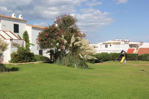 Foto de los servicios de Apartamentos Sol Isla