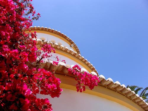 Foto general de Hotel Casabela