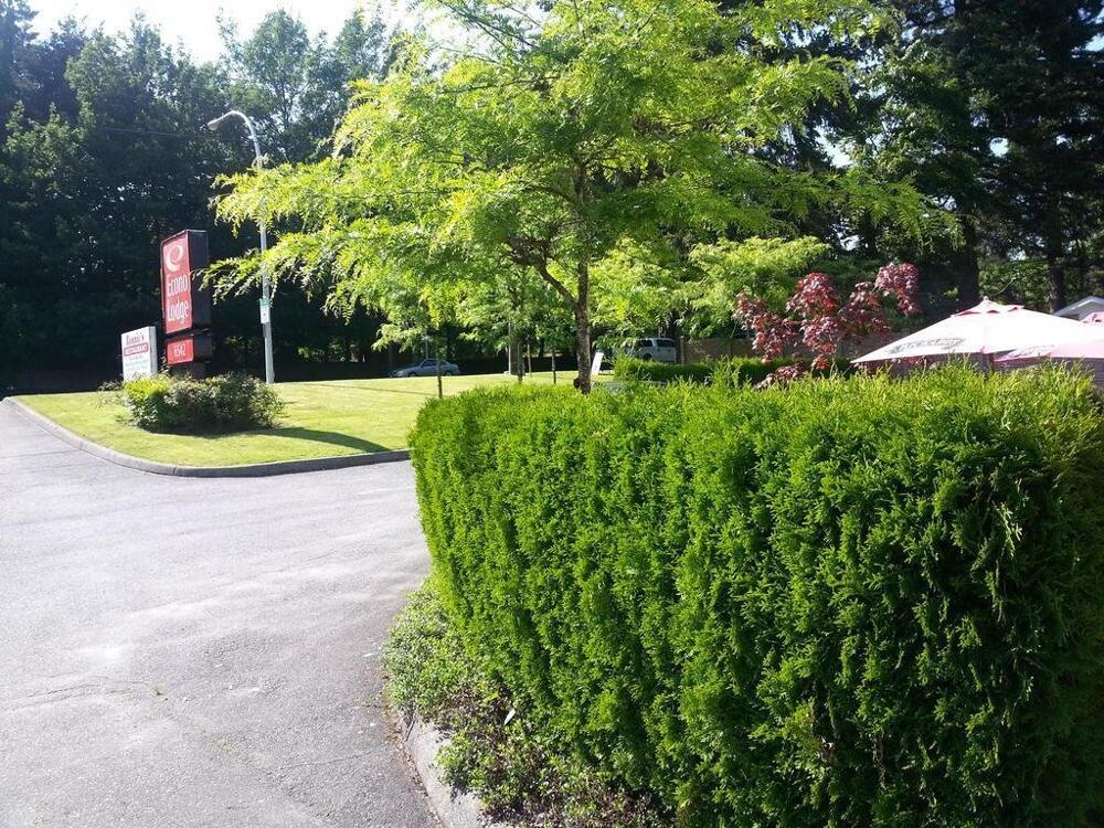 Foto general de Motel 6 Surrey, Bc